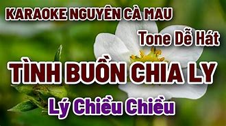 Lý Chiều Chiều Karaoke Tone Nữ